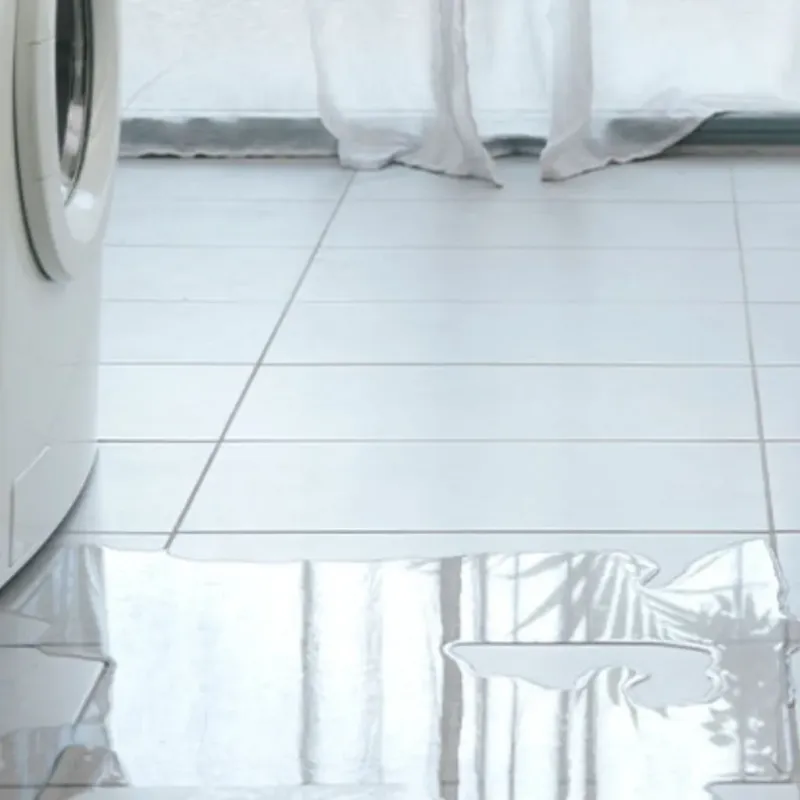 Appliance Leak Cleanup in Greenville County, SC