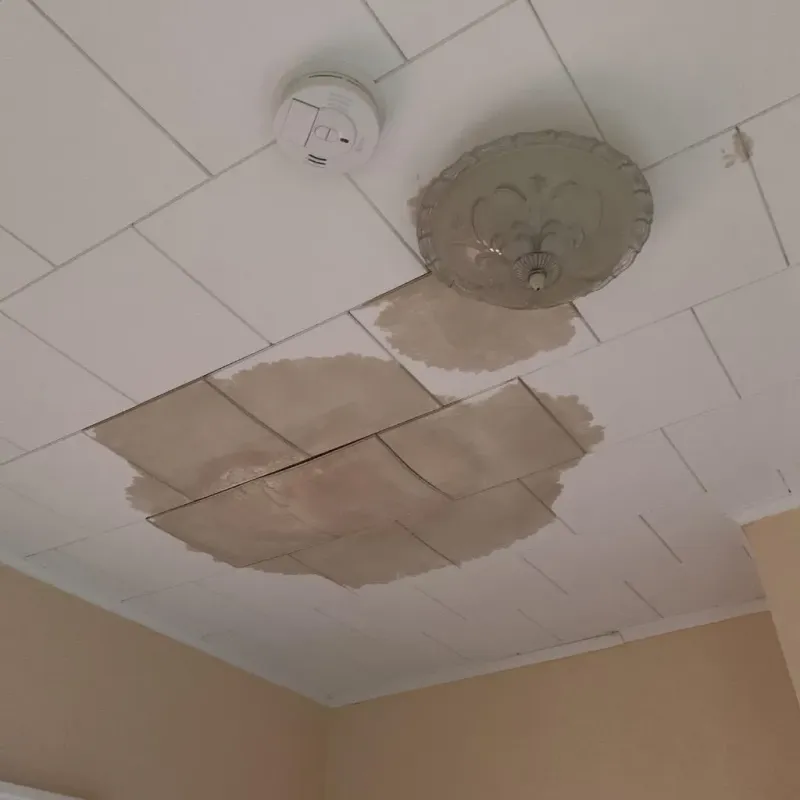 Ceiling Water Damage Repair in Greenville County, SC