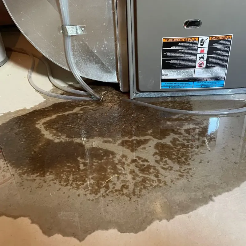 Pipe Burst and Leak Restoration in Greenville County, SC