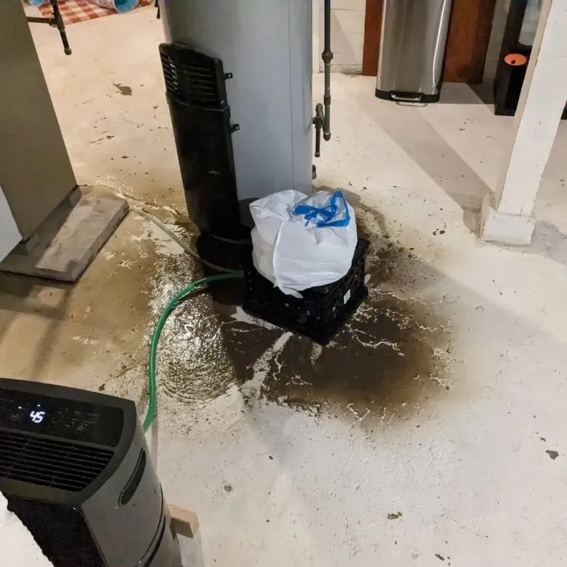 Sewage Backup Cleanup Service in Greenville County, SC